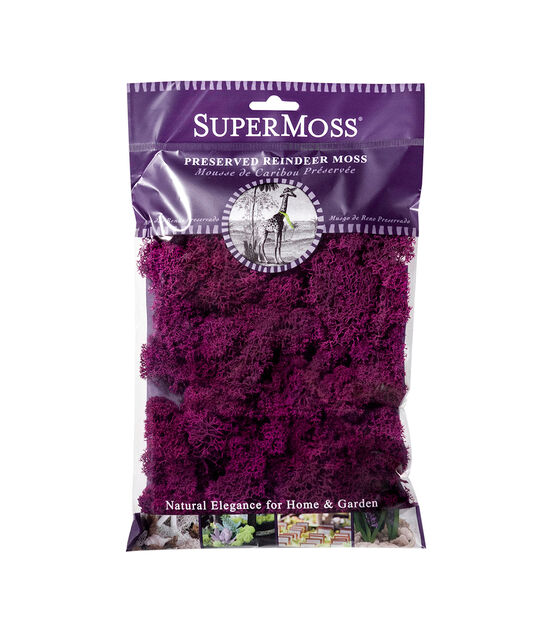 SuperMoss Reindeer Moss Fuchsia 2oz
