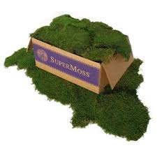 SuperMoss Sheet Moss Fresh Green 8oz
