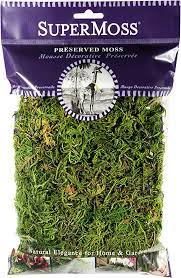 SuperMoss Forest Moss Fresh Green 2oz