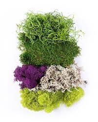 SuperMoss Mix Best Sellers 2oz