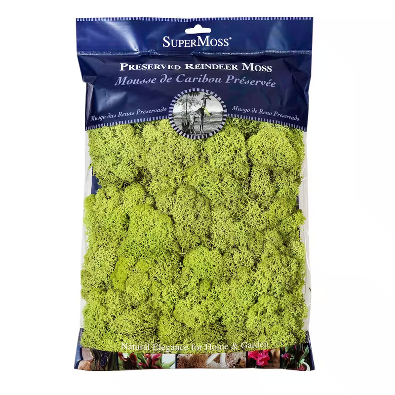 SuperMoss Reindeer Moss Chartreuse 8oz