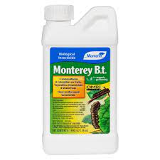 Monterey B.T. Insecticide Pt.