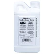 Garden Insect Spray Concentrate Pint