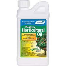 Monterey Horticultural Oil Pt.