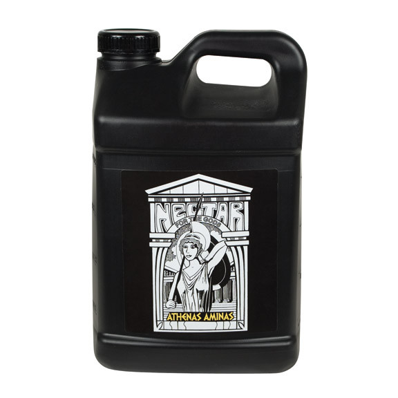 Nectar for the Gods Athenas Aminas Gallon