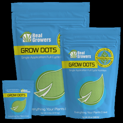 Real Growers Grow Dots Singles 75g